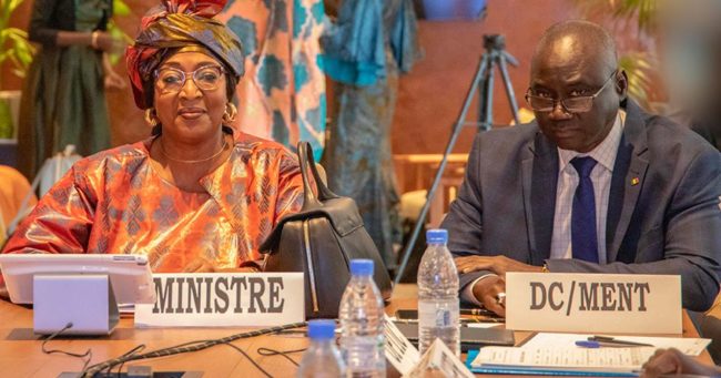 Sénégal numérique - GAINDE 2000